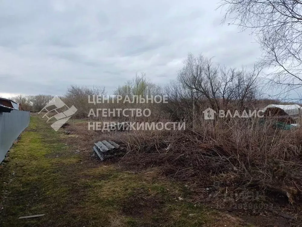 Участок в Рязанская область, Спасский муниципальный округ, с. ... - Фото 1