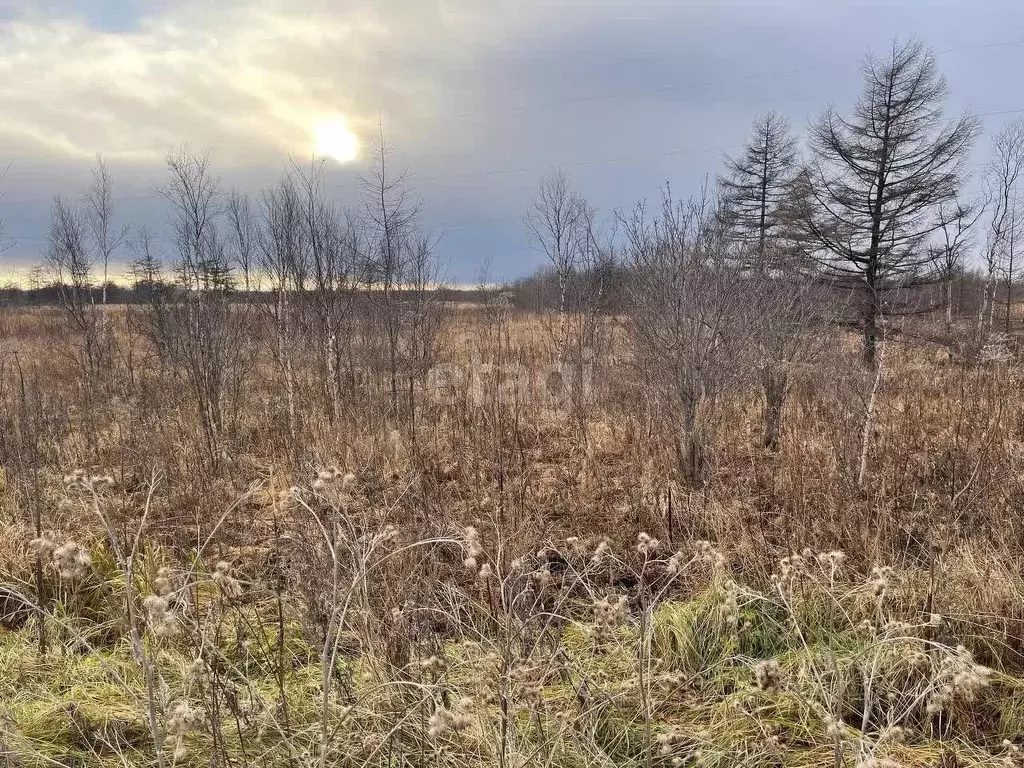 Участок в Сахалинская область, Анивский городской округ, с. Мицулевка  ... - Фото 0