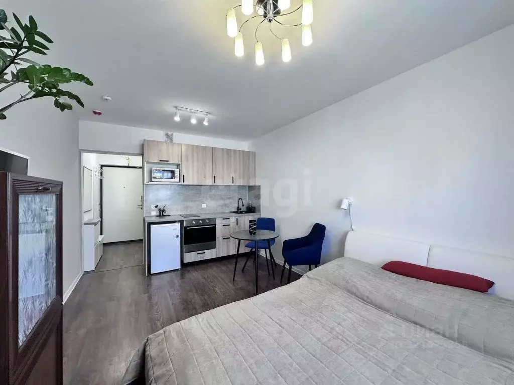 Студия Санкт-Петербург ул. Пейзажная, 30 (20.5 м) - Фото 1