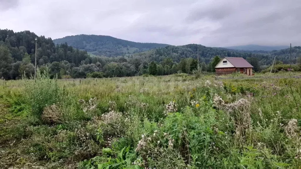 Участок в Алтай, Майминский район, Поселок филиал ул. А.Н. Муратова ... - Фото 1