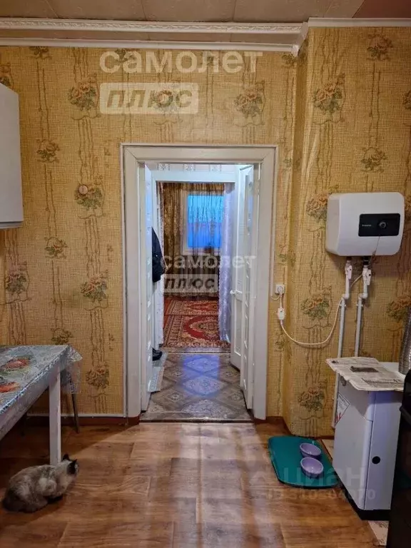 Дом в Тюменская область, Ишим проезд 8 Марта, 9 (63 м) - Фото 1