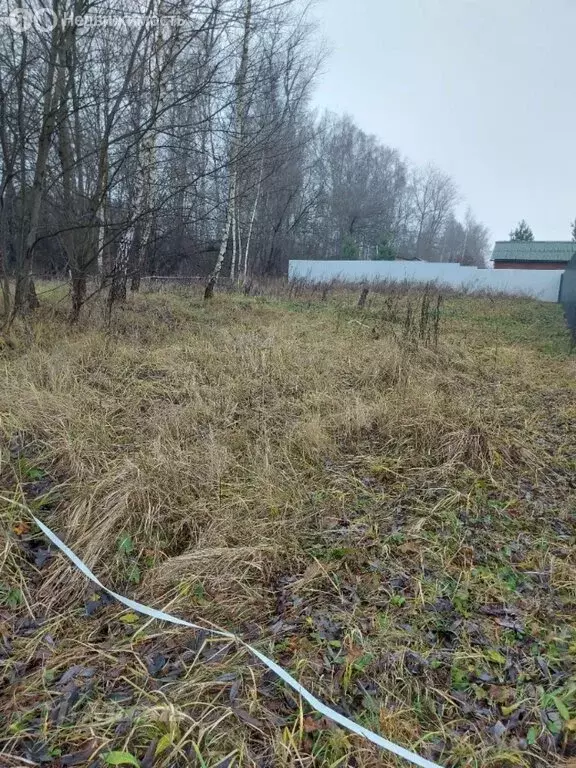 Участок в Московская область, городской округ Коломна, деревня ... - Фото 2