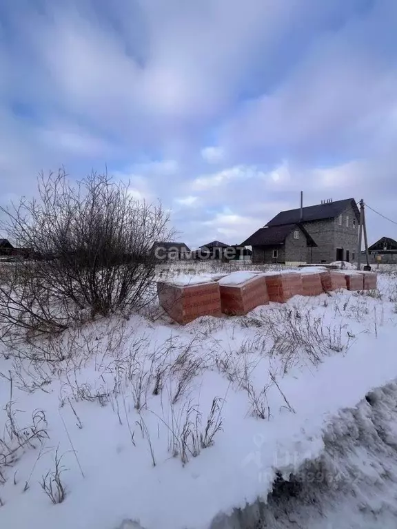 Участок в Тюменская область, Тюменский район, с. Мальково Новая ул., ... - Фото 1
