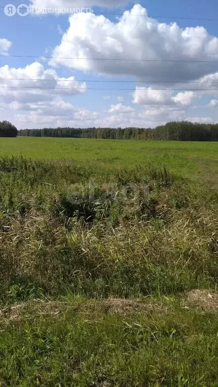 Участок в Свердловская область, Тугулымский муниципальный округ, село ... - Фото 0