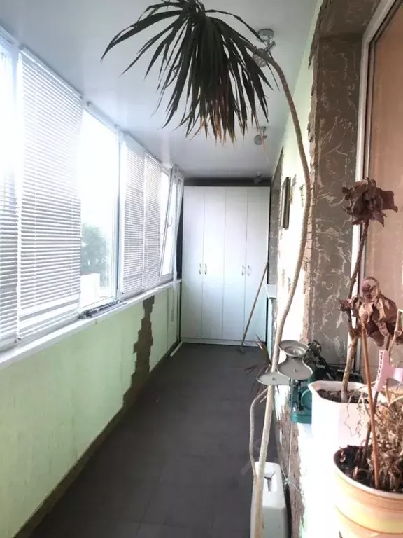 3-к кв. Волгоградская область, Волгоград Автотранспортная ул., 35и ... - Фото 2