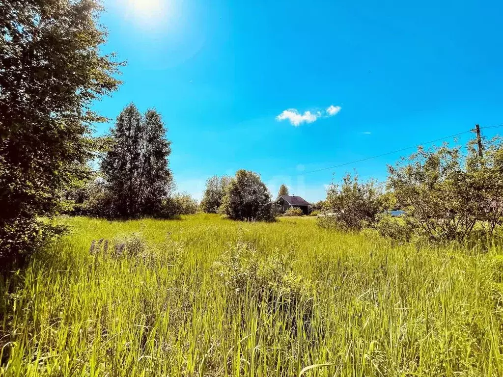 Участок в Башкортостан, Уфа Ромашка СНТ, 480 (8.0 сот.) - Фото 1