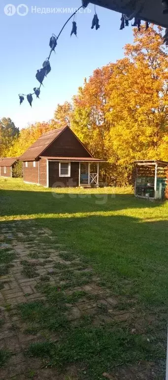 Дом в Палкинский район, Качановская волость, деревня Родовое (46.8 м) - Фото 2