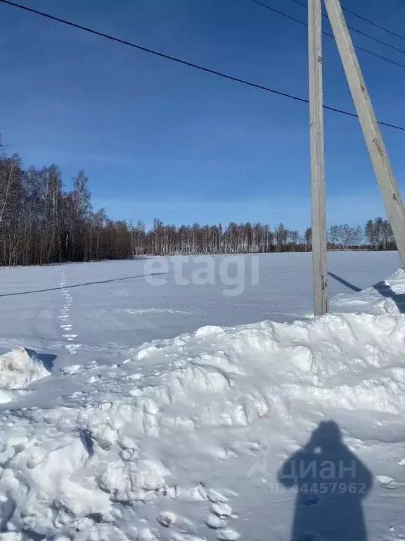 Участок в Челябинская область, Красноармейский район, Лазурненское ... - Фото 0