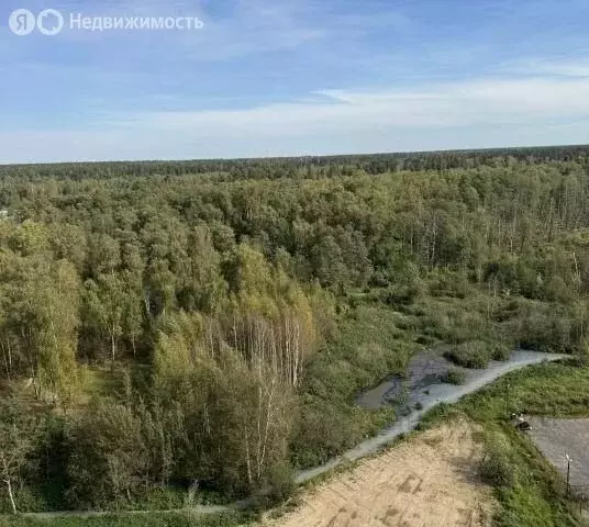 2-комнатная квартира: Свердловский, Берёзовая улица, 4 (56.4 м) - Фото 2