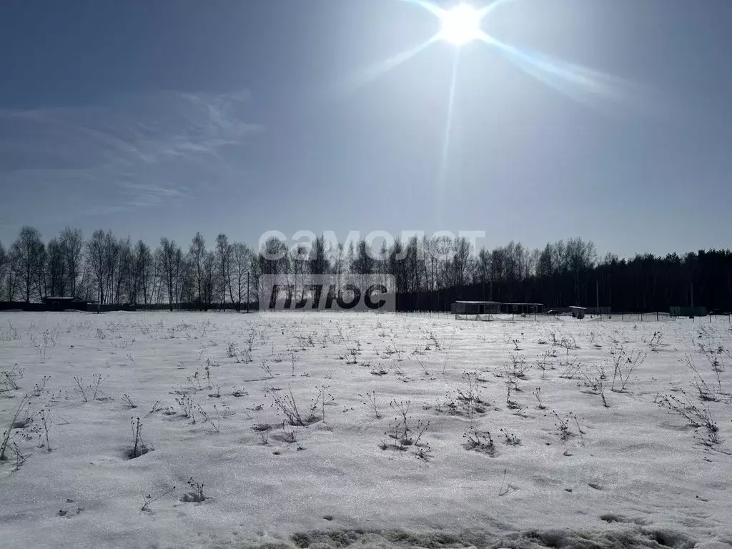 Участок в Московская область, Раменский муниципальный округ, ... - Фото 2