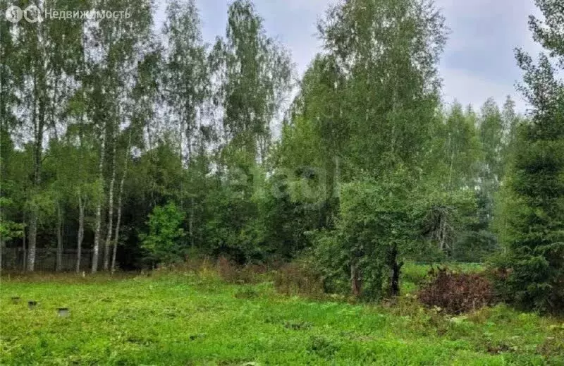 Участок в село Новоникольское, Лесная улица (159.3 м) - Фото 1