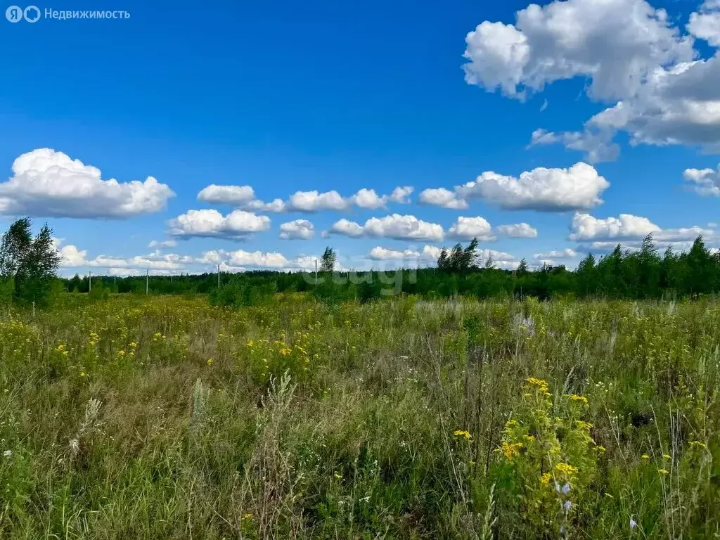 Участок в Медведевский район, Азяковское сельское поселение, деревня ... - Фото 0