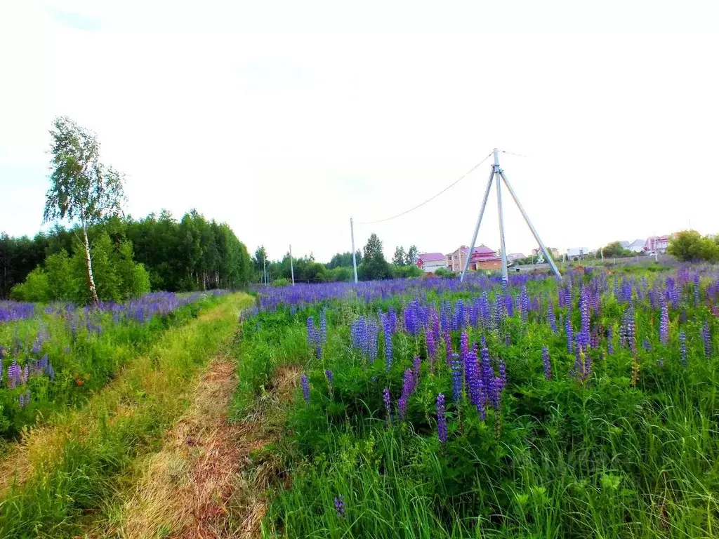 Участок в Нижегородская область, Богородский муниципальный округ, д. ... - Фото 1