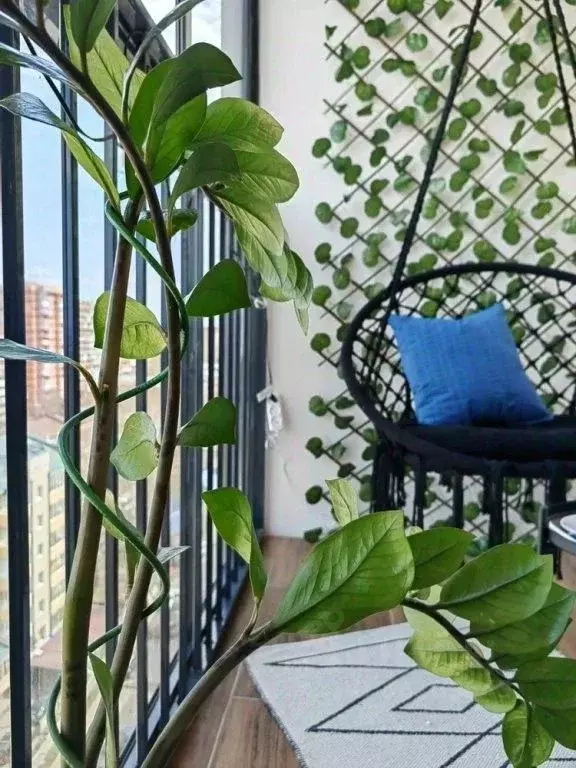 1-к кв. Иркутская область, Иркутск ул. Пискунова, 138 (20.0 м) - Фото 1