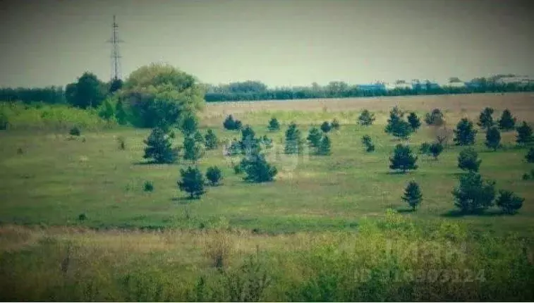 Участок в Белгородская область, Новооскольский муниципальный округ, с. ... - Фото 1