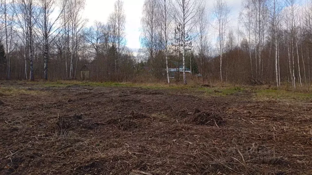 Участок в Московская область, Талдомский городской округ, д. Бельское  ... - Фото 0