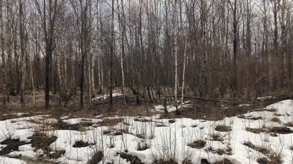 Участок в Ленинградская область, Ломоносовский район, Виллозское ... - Фото 0