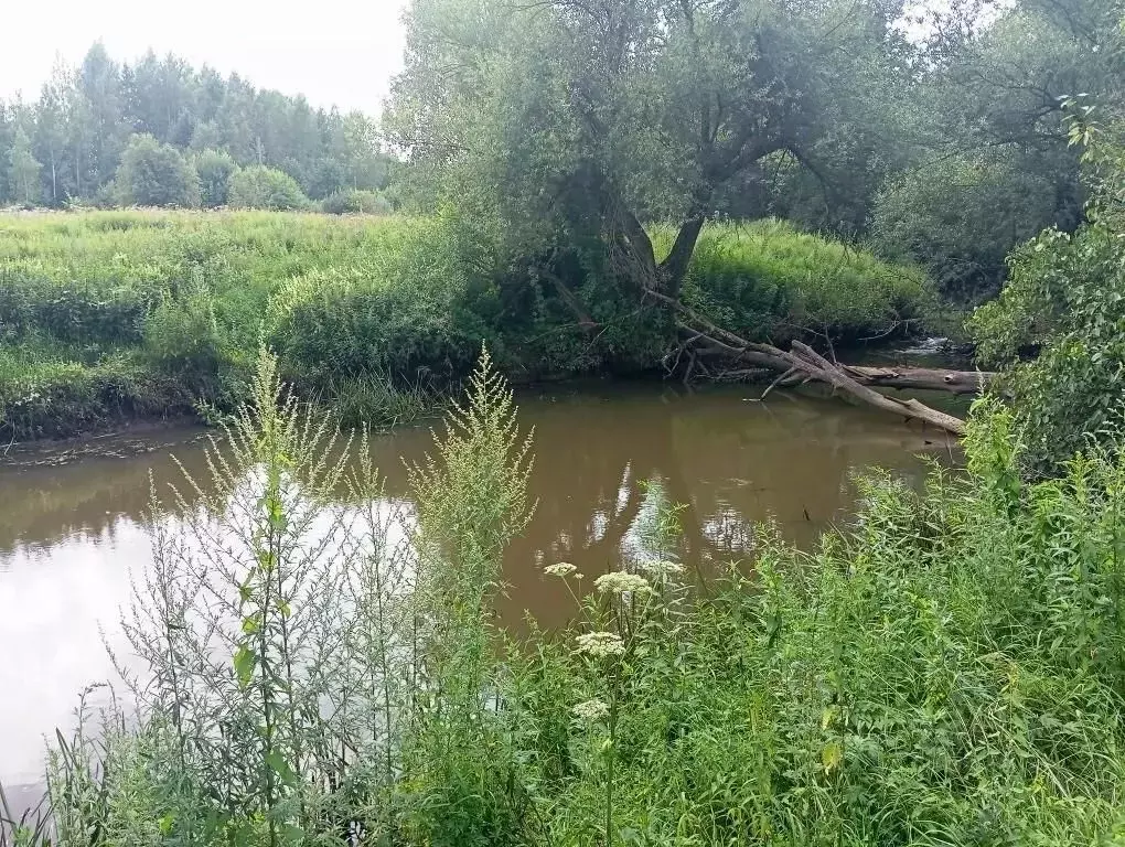 Участок в Владимирская область, Киржачский муниципальный округ, д. ... - Фото 2