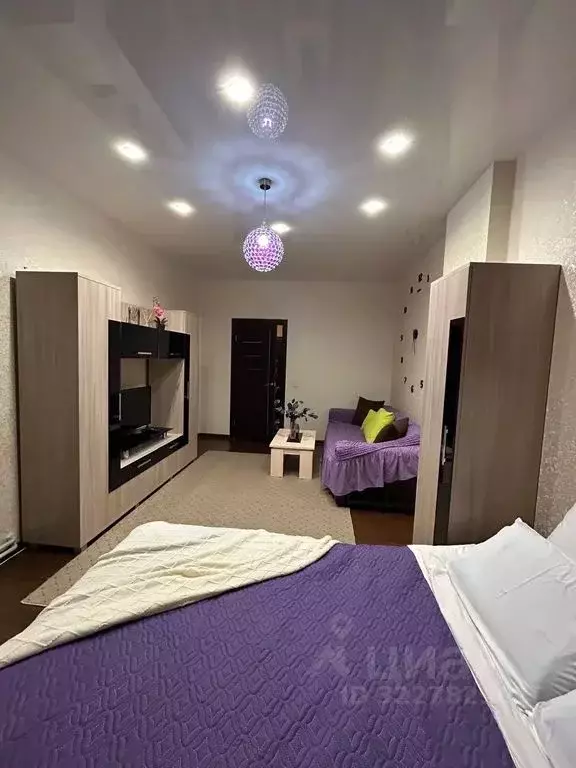 1-к кв. Пермский край, Пермь ул. Мира, 136 (46.0 м) - Фото 2