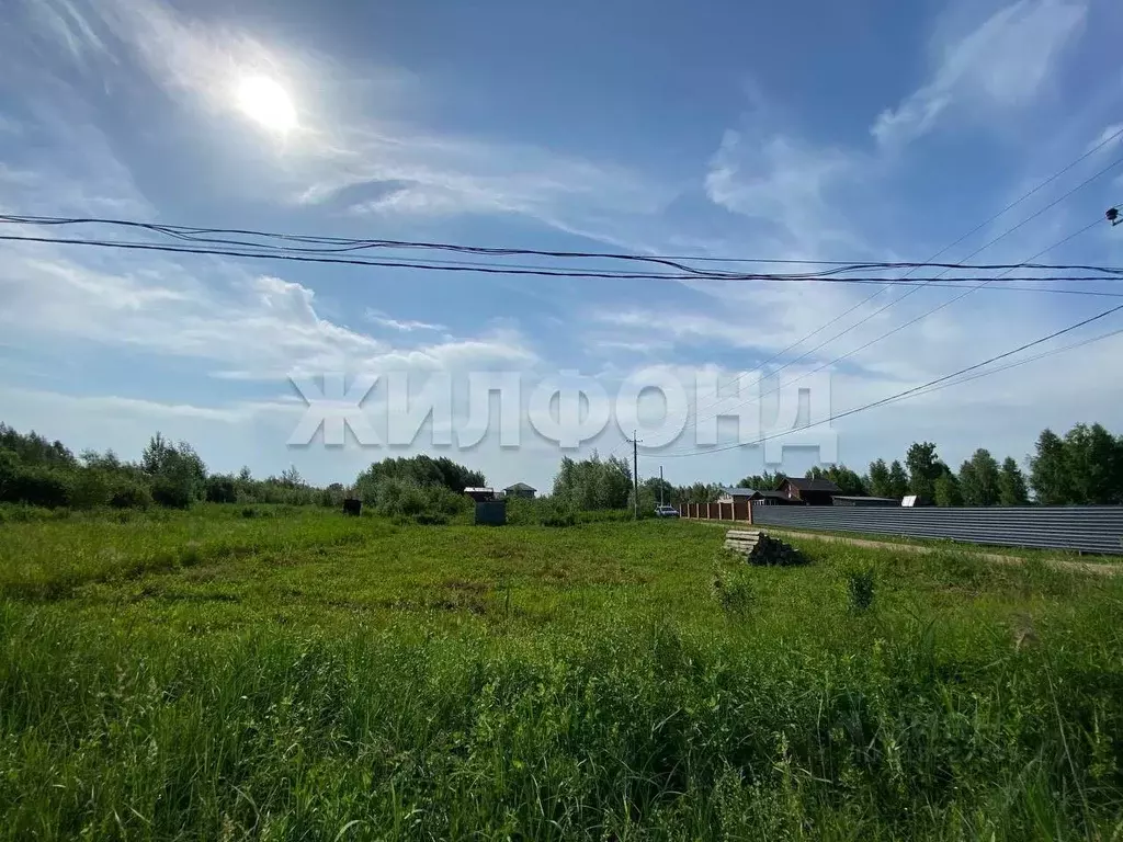 Участок в Новосибирская область, Новосибирский район, Криводановский ... - Фото 1