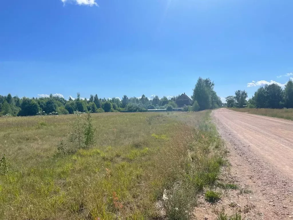 Участок в Новгородская область, Новгородский район, Бронницкое с/пос, ... - Фото 1