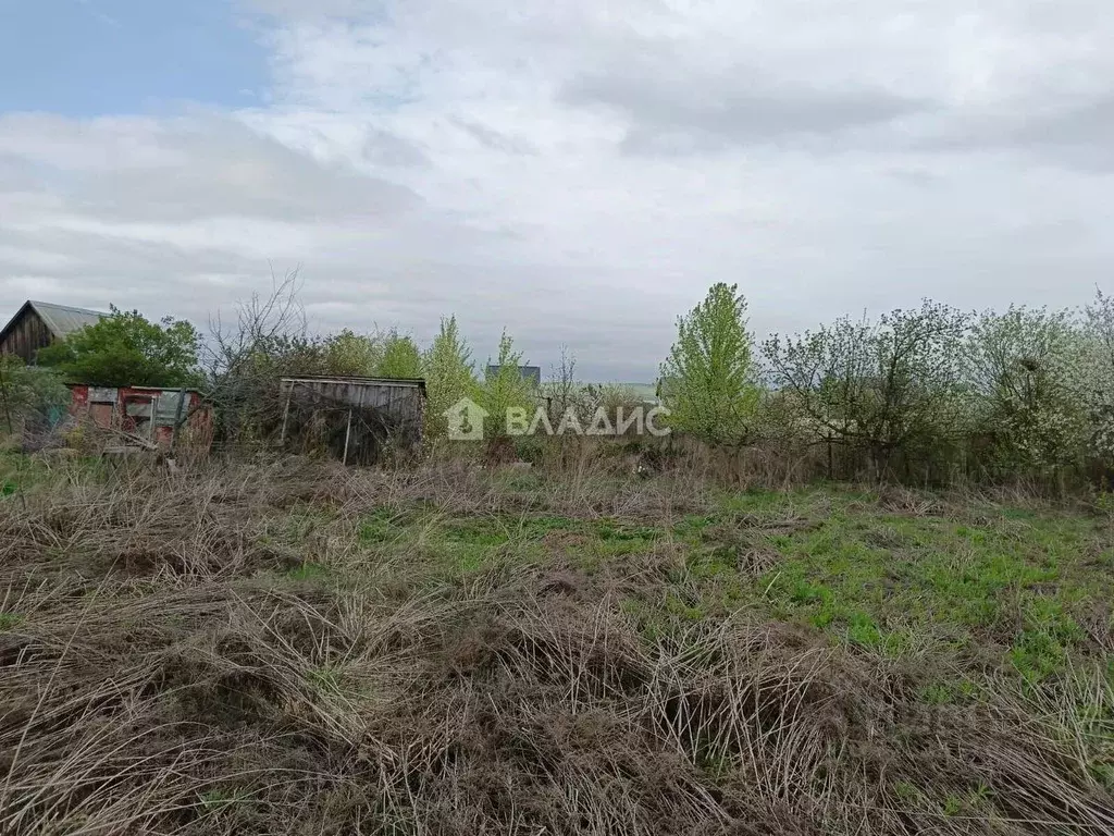 Участок в Пензенская область, Пензенский район, Алферьевский ... - Фото 1