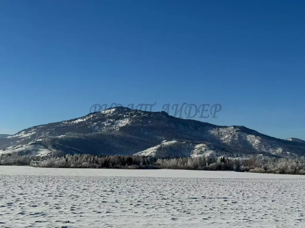 Участок в Алтай, Усть-Коксинский район, с. Курдюм  (5400.0 сот.) - Фото 1