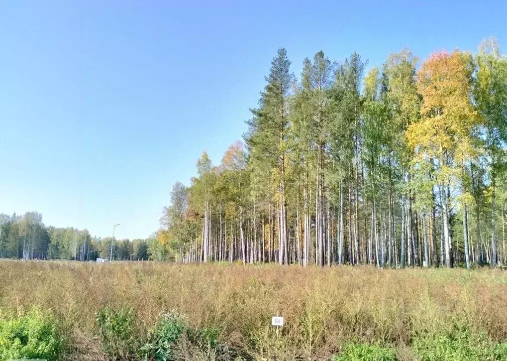 Участок в Свердловская область, Сысертский городской округ, пос. ... - Фото 1