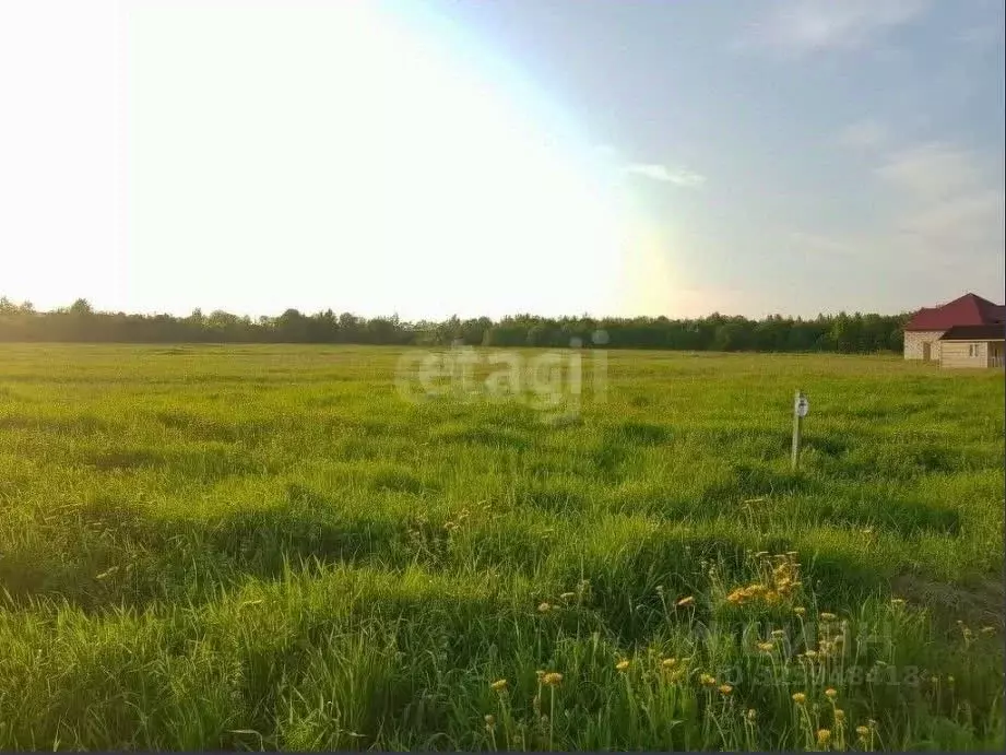 Участок в Ростовская область, Аксайский район, Рассветовское с/пос, ... - Фото 1
