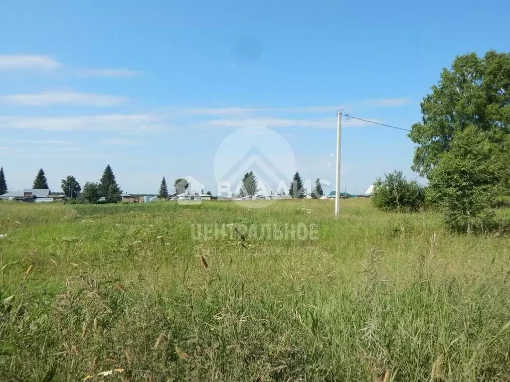 Участок в Новосибирская область, Новосибирский район, Новолуговской ... - Фото 0