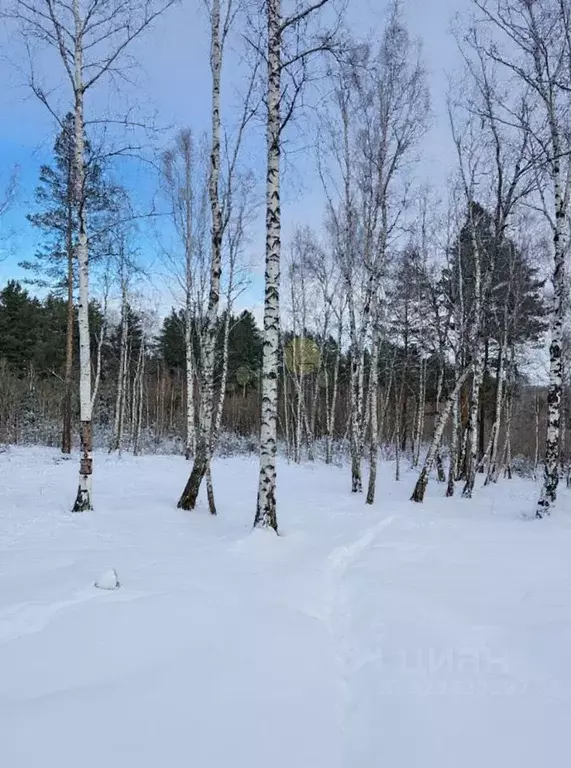 Участок в Иркутская область, Иркутский муниципальный округ, Славное ... - Фото 1