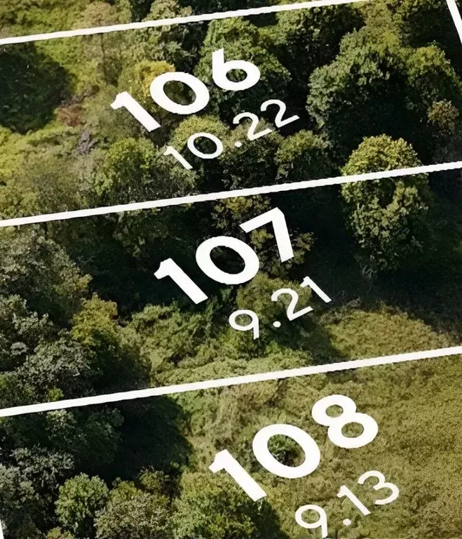 Участок в Ленинградская область, Всеволожский район, Куйвозовское ... - Фото 2