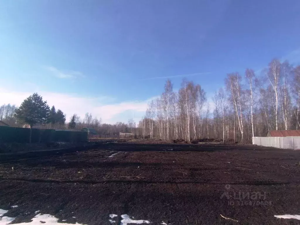Участок в Московская область, Орехово-Зуевский городской округ, ... - Фото 1