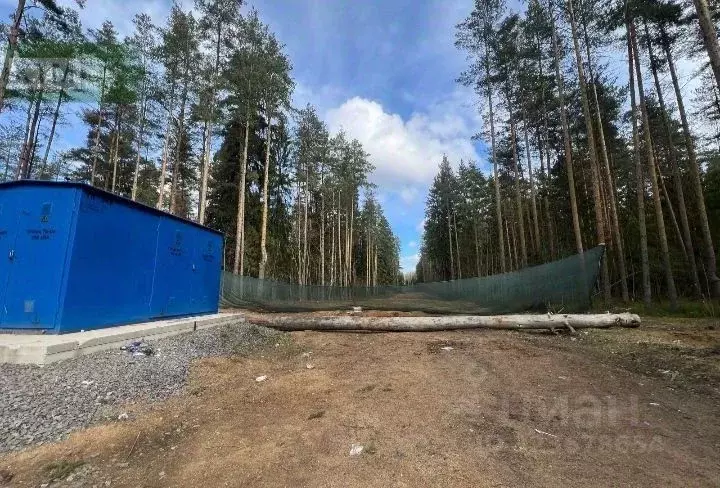 Участок в Ленинградская область, Всеволожск  (20.0 сот.) - Фото 2