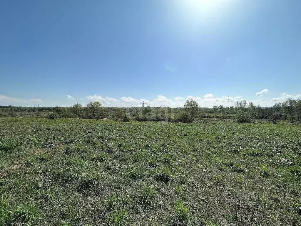 Участок в Нижегородская область, Богородский муниципальный округ, д. ... - Фото 0