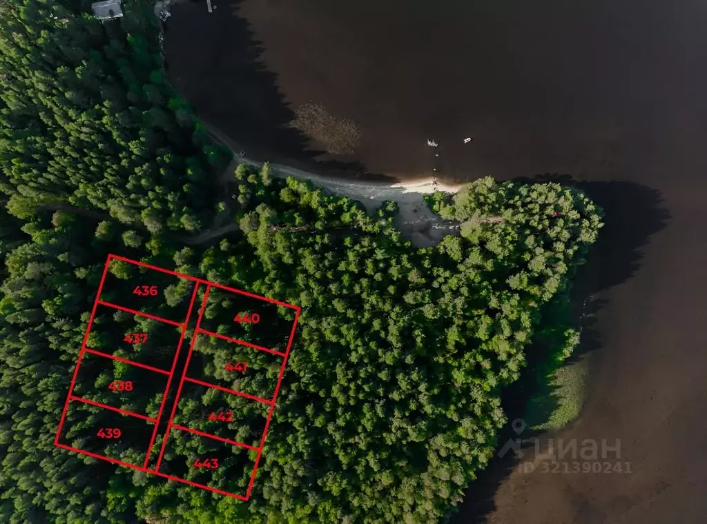 Участок в Карелия, Пряжинский район, Эссойльское с/пос, пос. Сяпся, ... - Фото 2