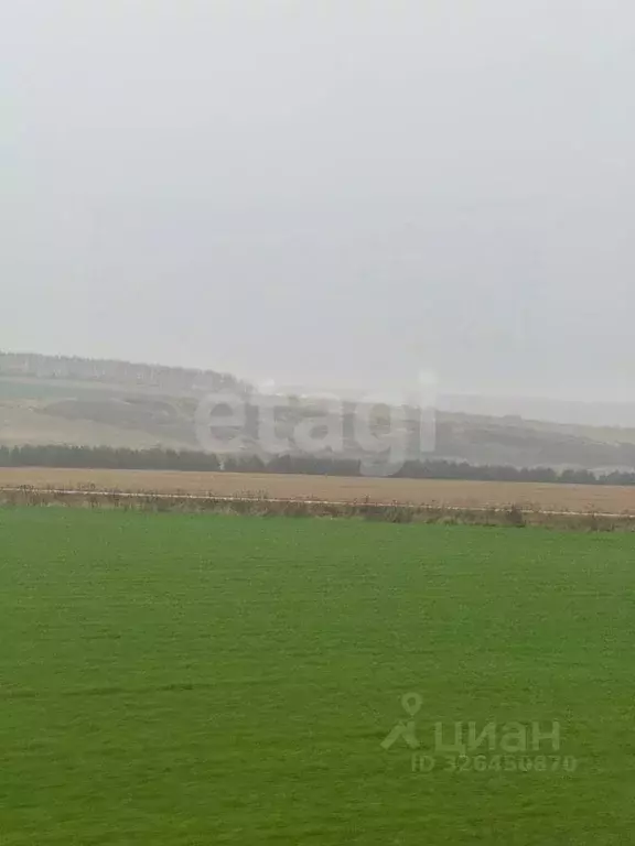 Участок в Нижегородская область, Дальнеконстантиновский муниципальный ... - Фото 2