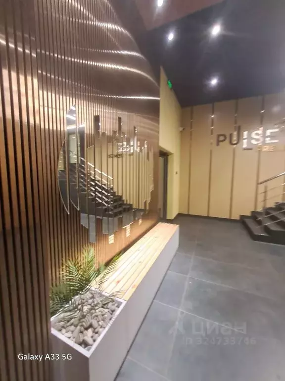 Студия Санкт-Петербург Дальневосточный просп., 23 (25.0 м) - Фото 2