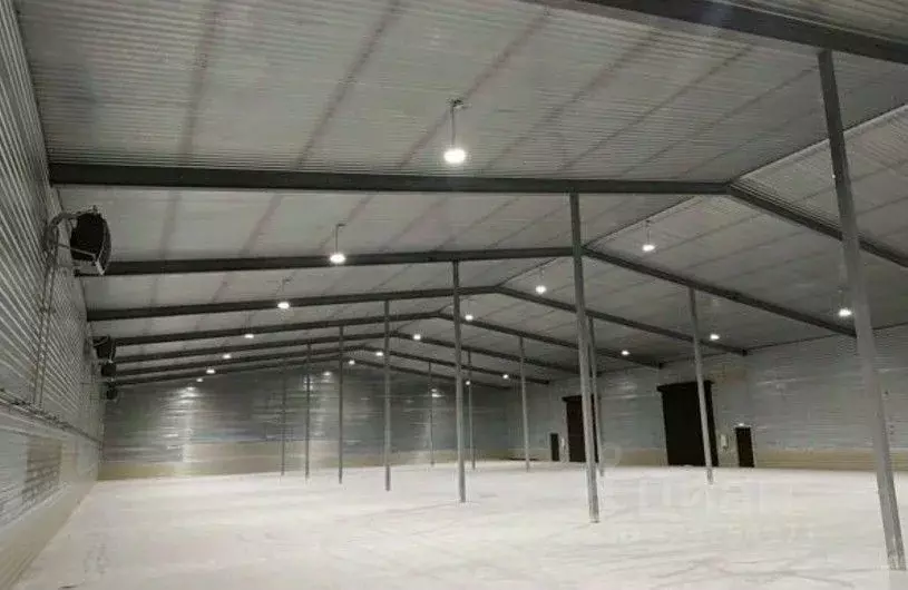 Склад в Ленинградская область, Тельмана Тосненский район, ул. ... - Фото 2