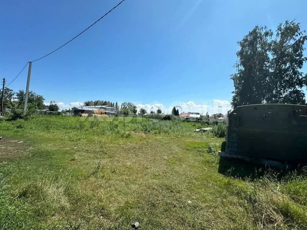 Участок в Новосибирская область, Новосибирский район, с. Боровое ... - Фото 1