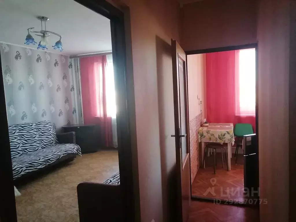 1-к кв. Волгоградская область, Камышин 5-й мкр, 58 (38.0 м) - Фото 1