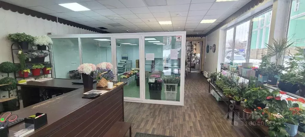 Торговая площадь в Московская область, Ногинск Богородский городской ... - Фото 1