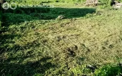 Участок в Кемерово, СНТ Сухой Искитим (8 м) - Фото 1