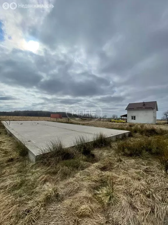 Участок в Калининградская область, Гурьевский муниципальный округ, ... - Фото 2