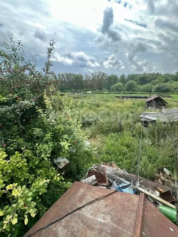 3-к кв. Новосибирская область, Ордынский район, д. Малоирменка ул. ... - Фото 2