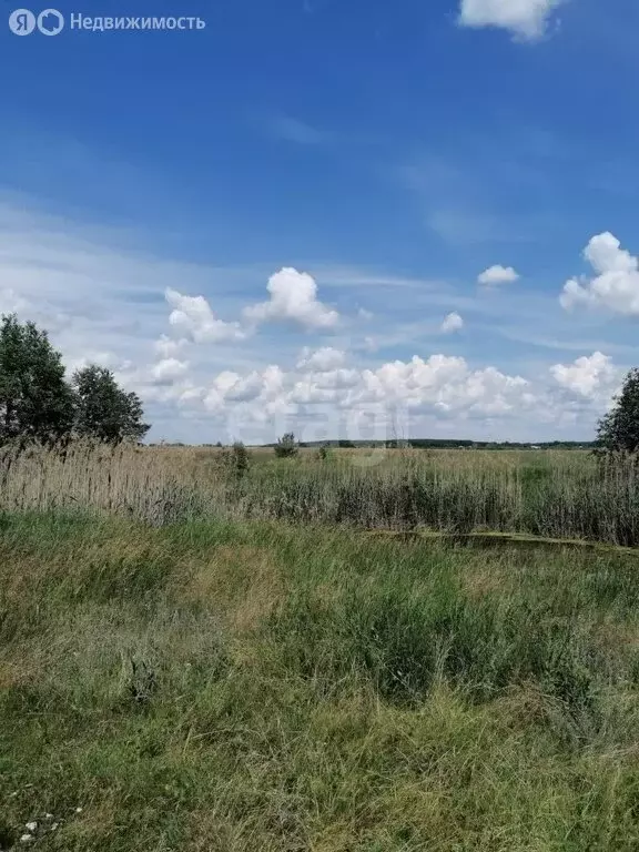 Участок в село Берёзово, Приозёрная улица (8 м) - Фото 0