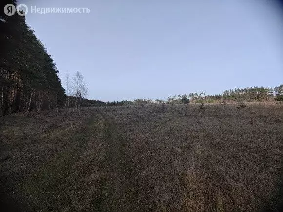 Участок в Орловский муниципальный округ, село Сабурово (1 м) - Фото 1