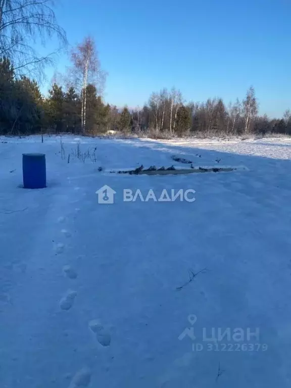 Участок в Владимирская область, Петушинское муниципальное образование, ... - Фото 0