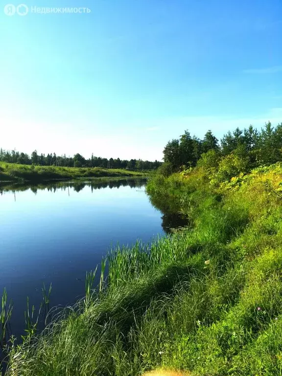 Участок в Тарасово, 9-я линия, 150 (13.75 м) - Фото 0
