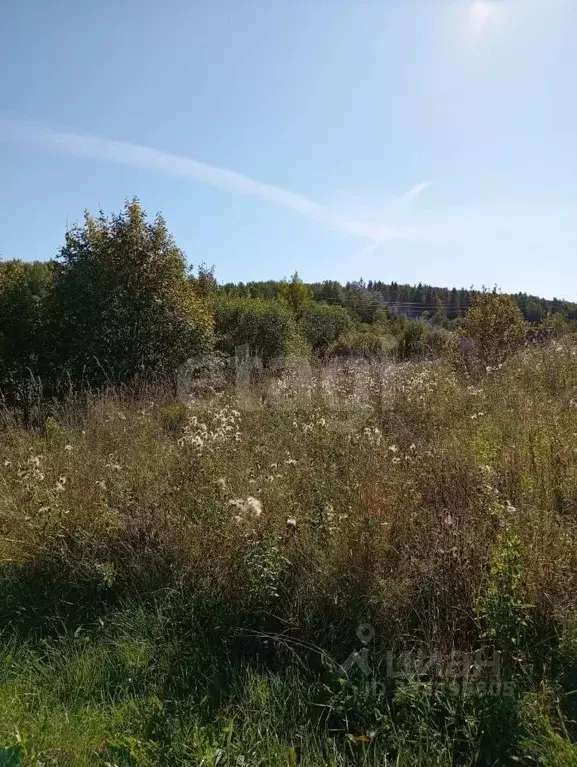 Участок в Вологодская область, Грязовецкий муниципальный округ, с. ... - Фото 2